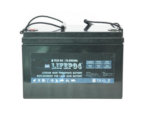 tragbare Bleisäure 24V 42AH des Batterie-Lifepo4 Lithium-BMS For Replacement Of